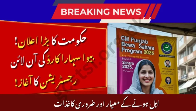 CM Punjab Bewa Sahara Card 2025