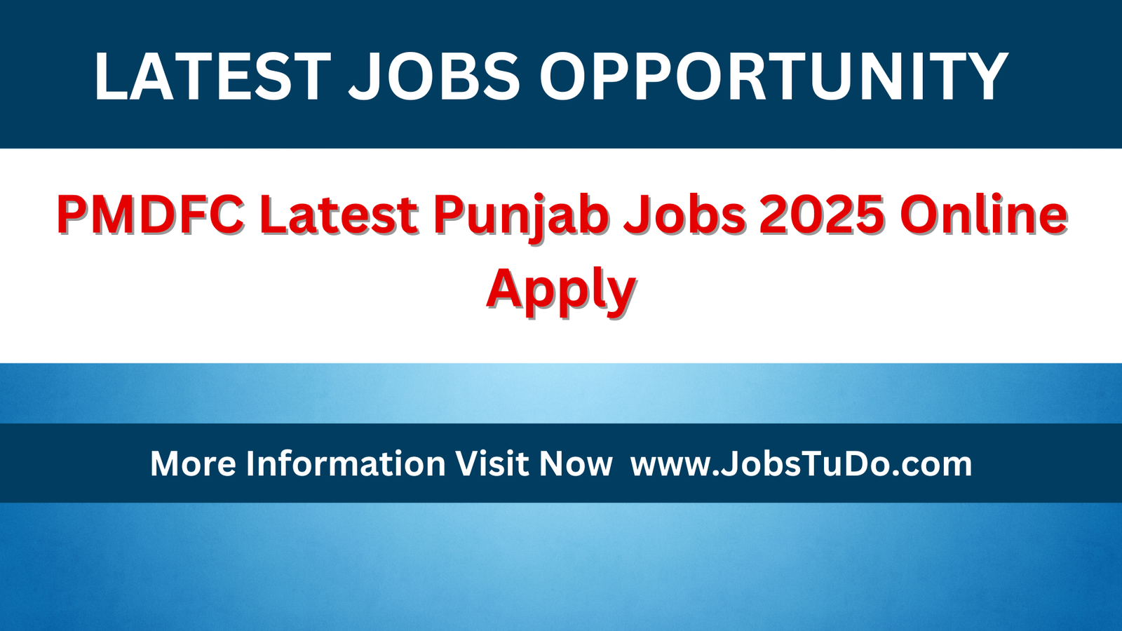 PMDFC Latest Punjab Jobs 2025 Online Apply